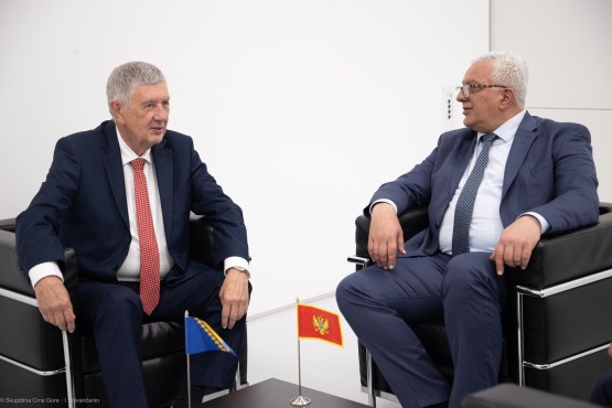 The Speaker of the House of Representatives of the PA BiH Nebojša Radmanović held a meeting with the President of the Parliament of Montenegro 